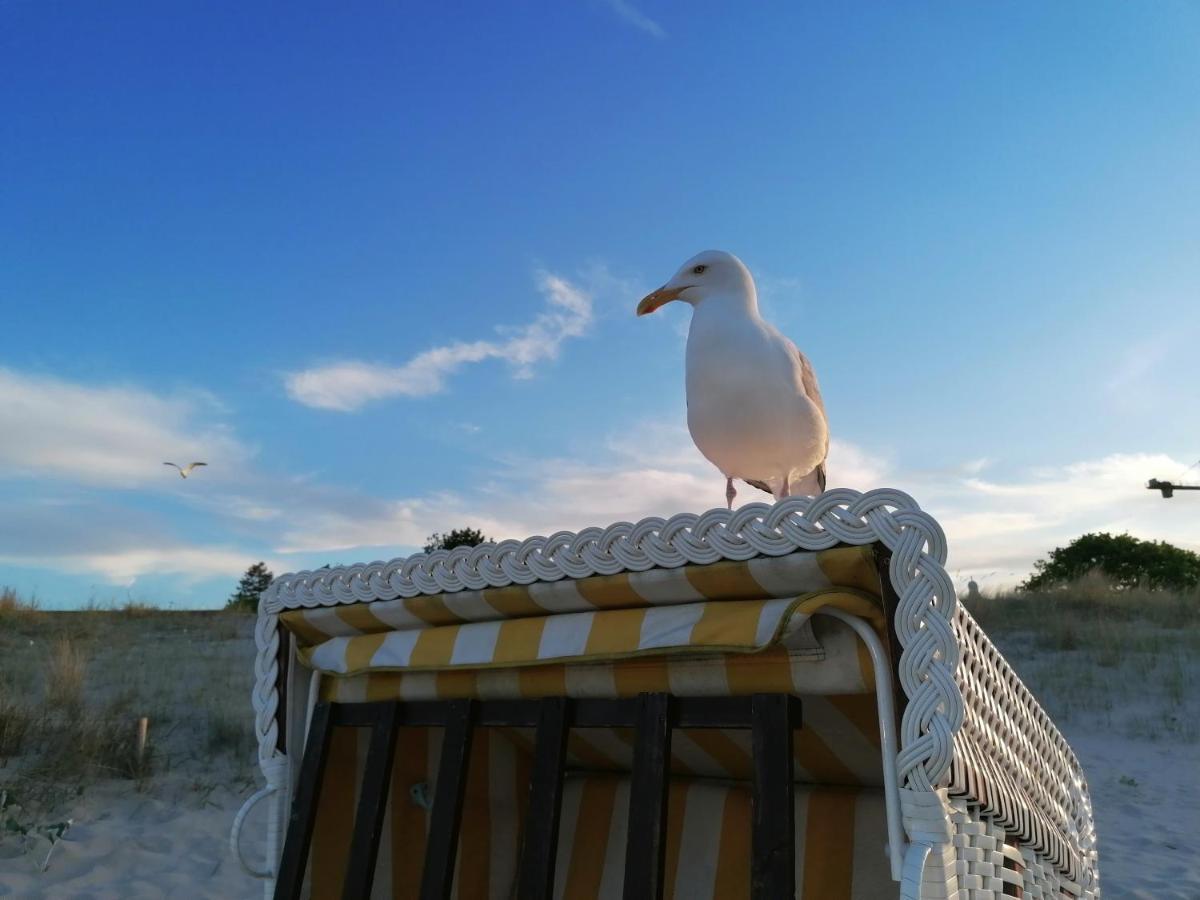 Ferienwohnung Strandburg Heringsdorf  Esterno foto